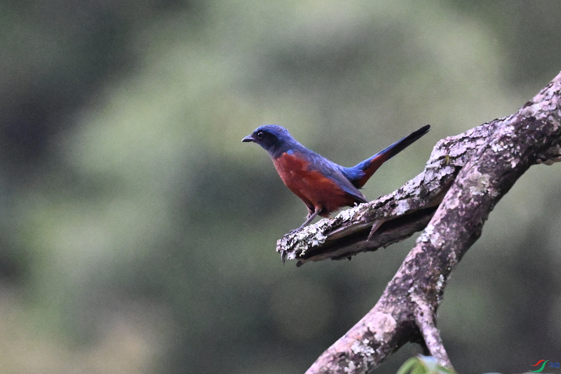 DSC_1863.JPG