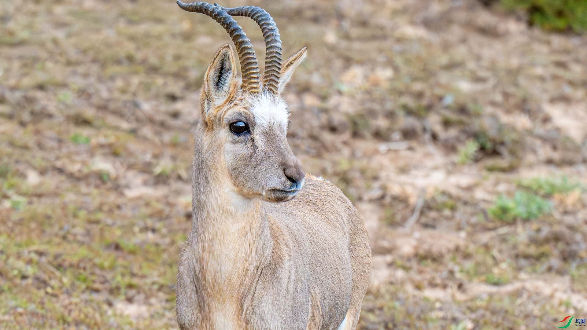 DSC_6169-1_����.jpg