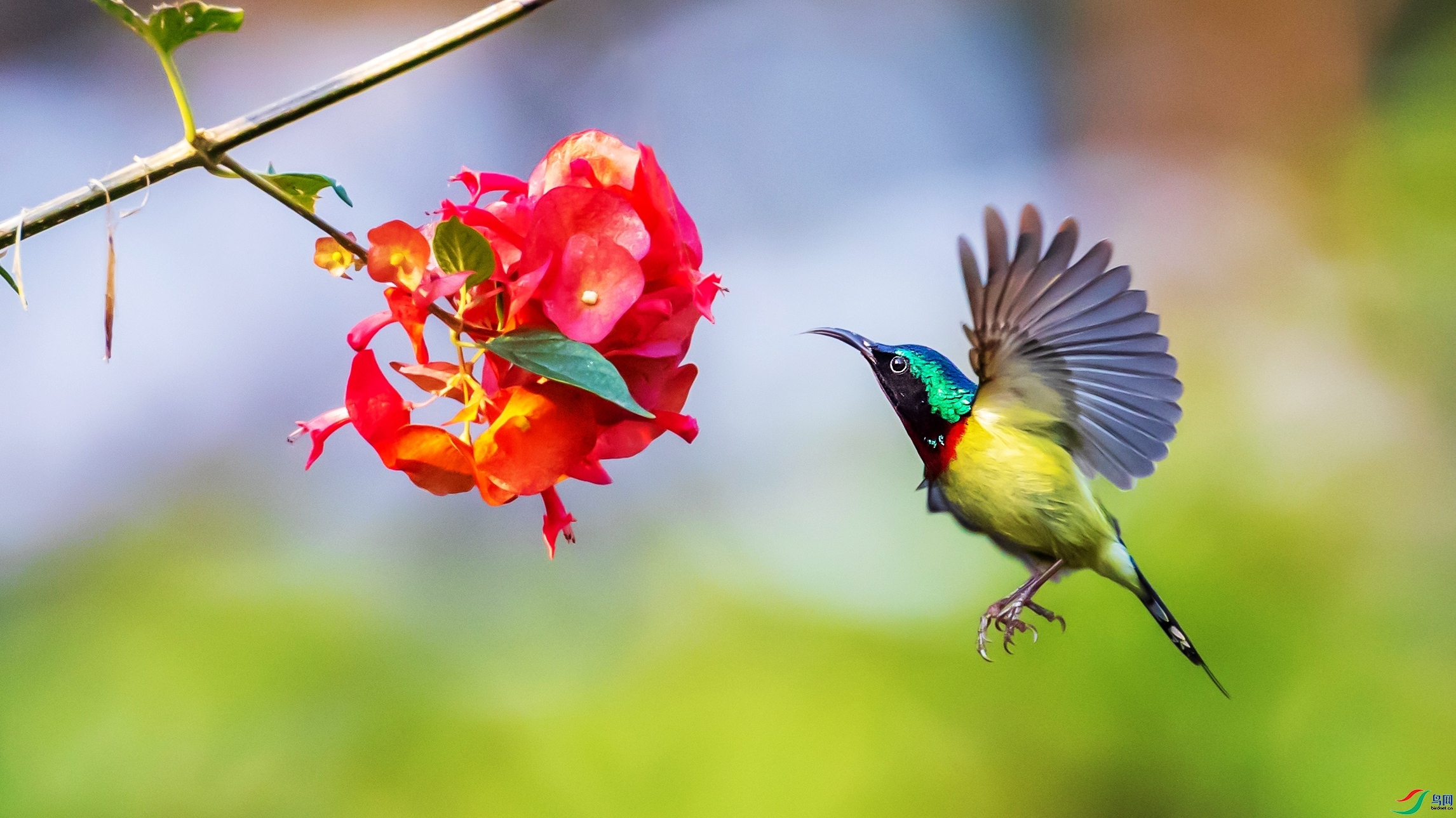 2.19 z**��ʦ��Ʒ  ������´�  �ٻ�2026��2��19�հ�����ҳ����.jpg