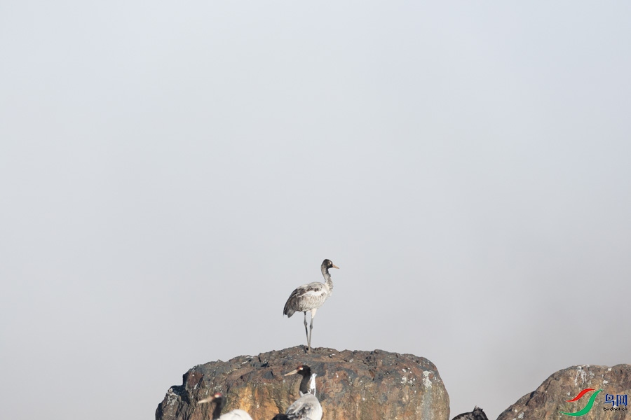0B0A6932.jpg