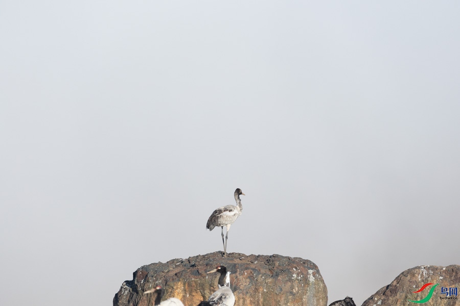 0B0A6934.jpg