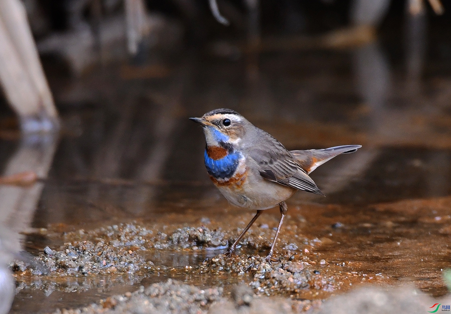 DSC_4416.jpg