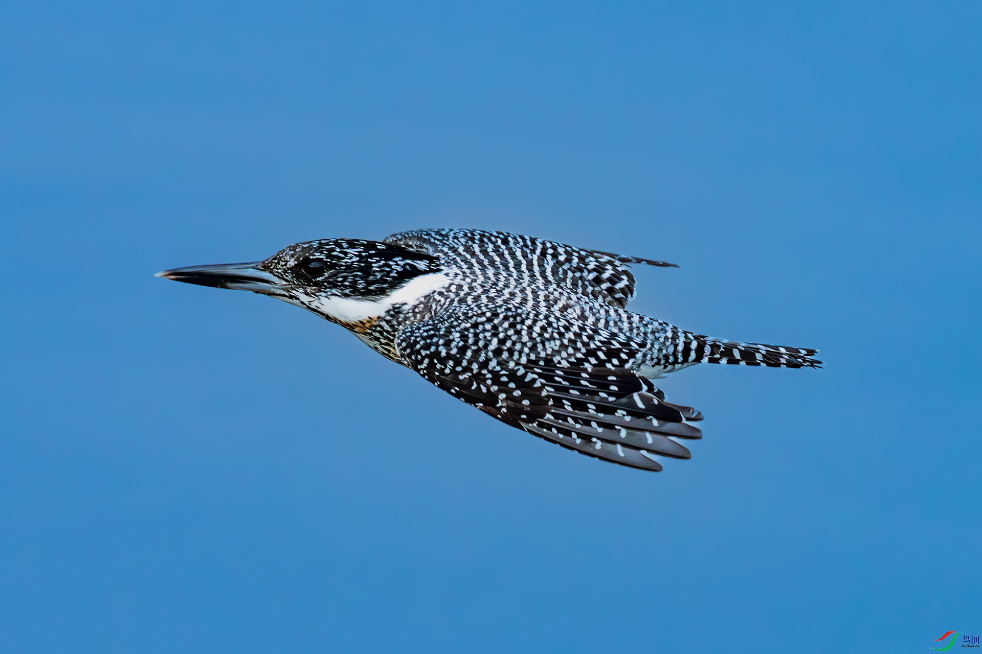 _F9A0849 ����.jpg