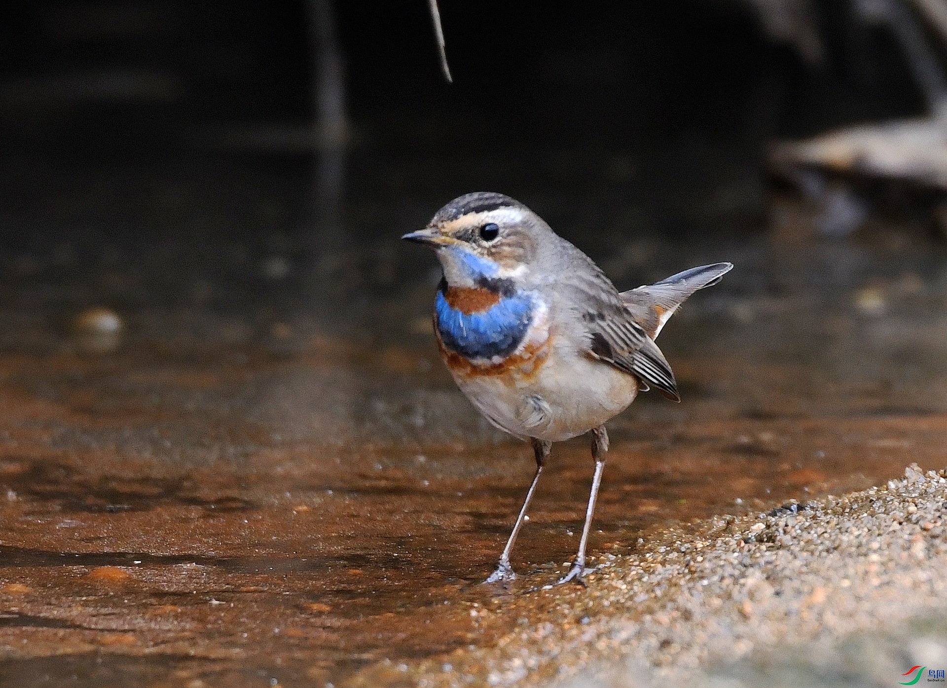 DSC_4407.jpg
