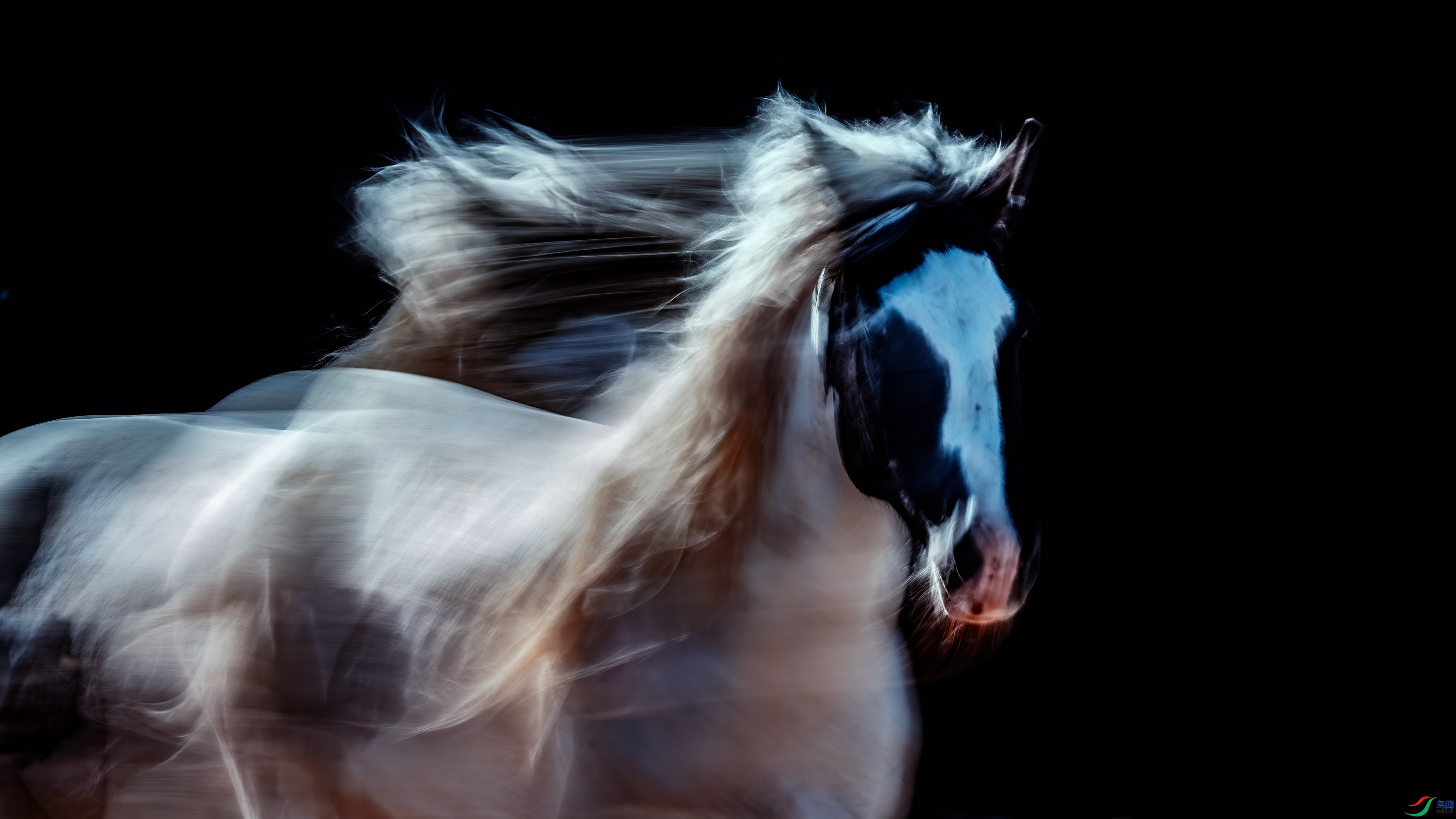 ��¼�� ���ǵķ�� ��־���� 15853175198X7A6040.jpg