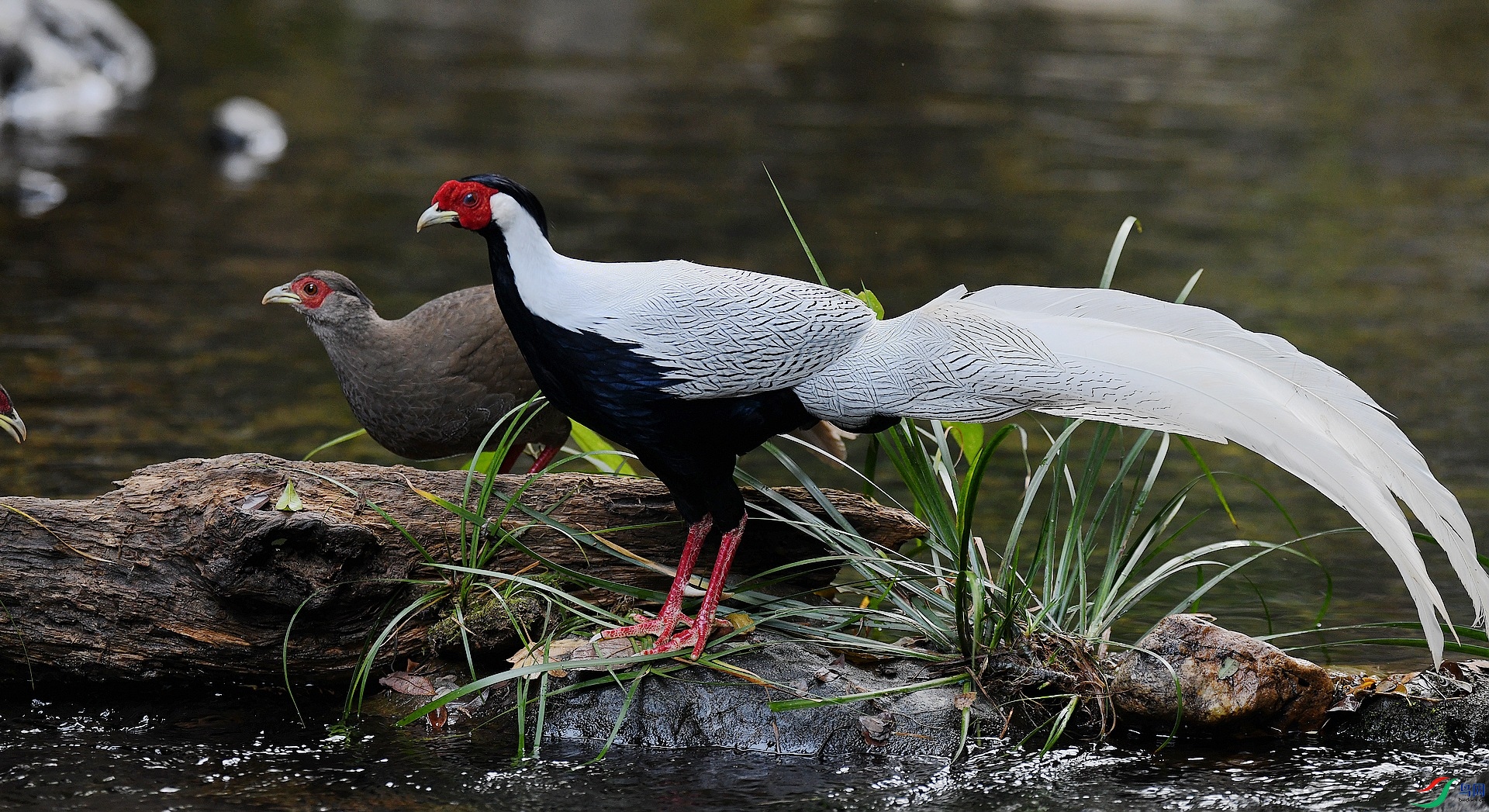 DSC_5599.jpg