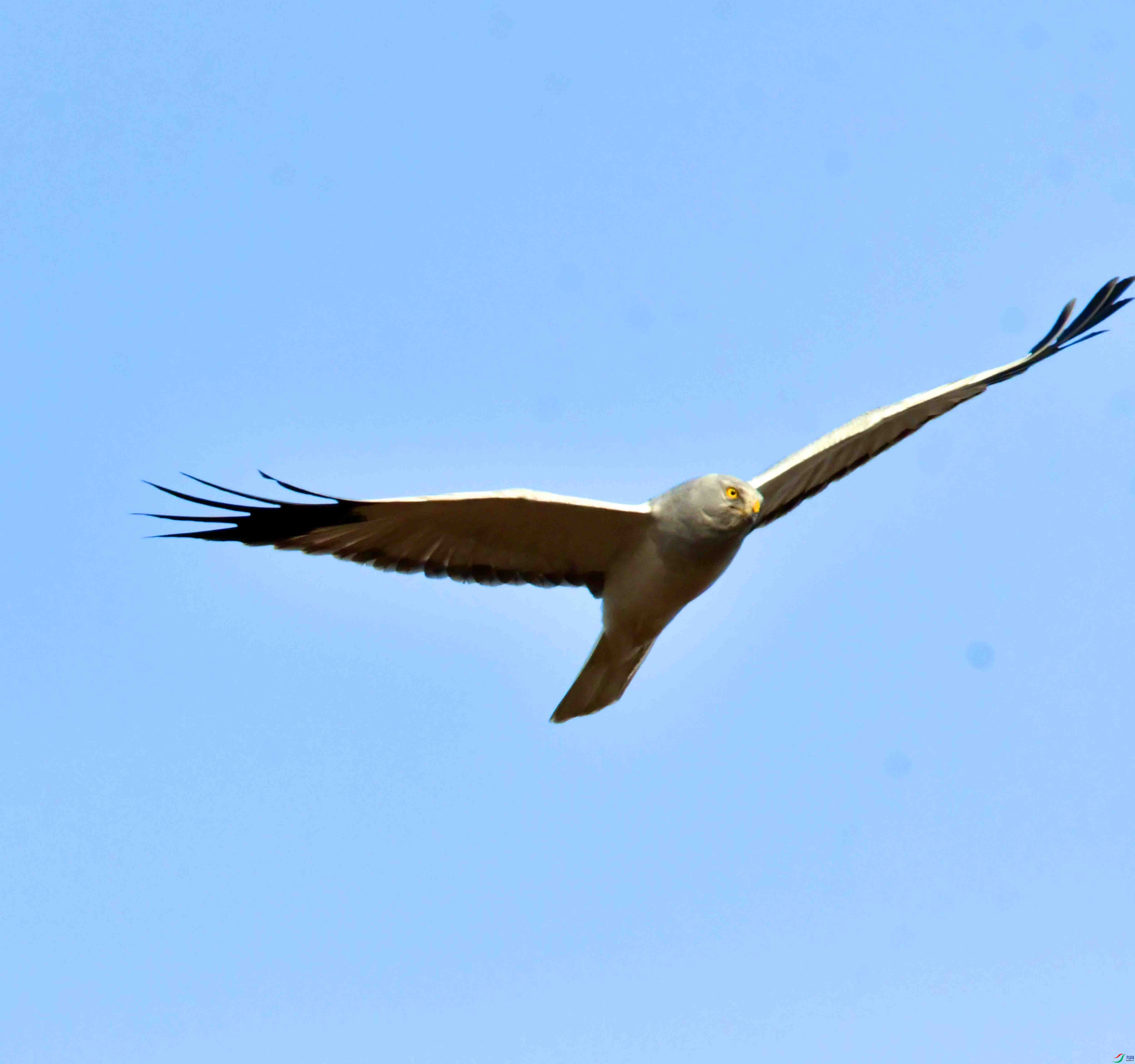 DSC_7444.JPG