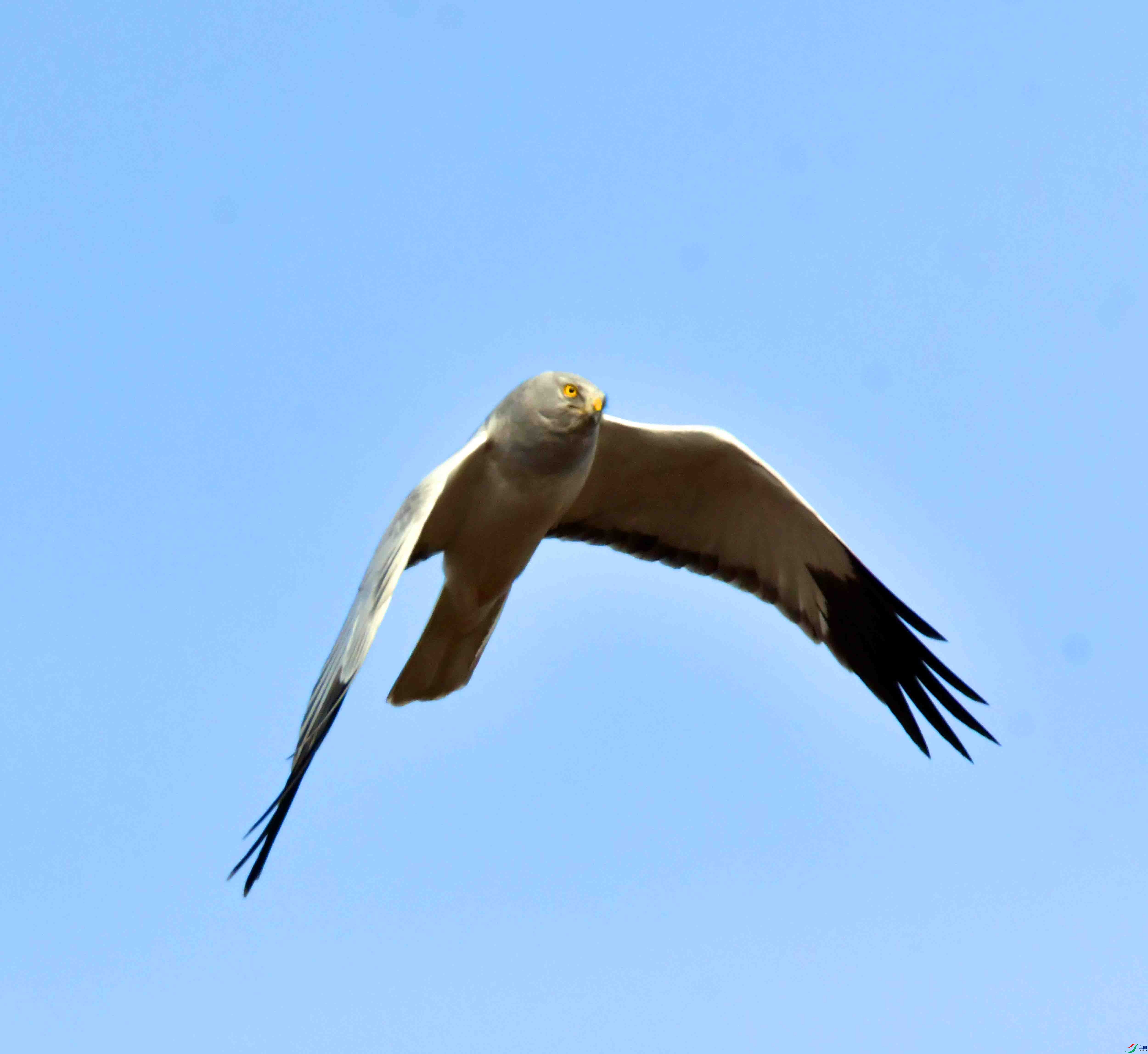 DSC_7445.JPG