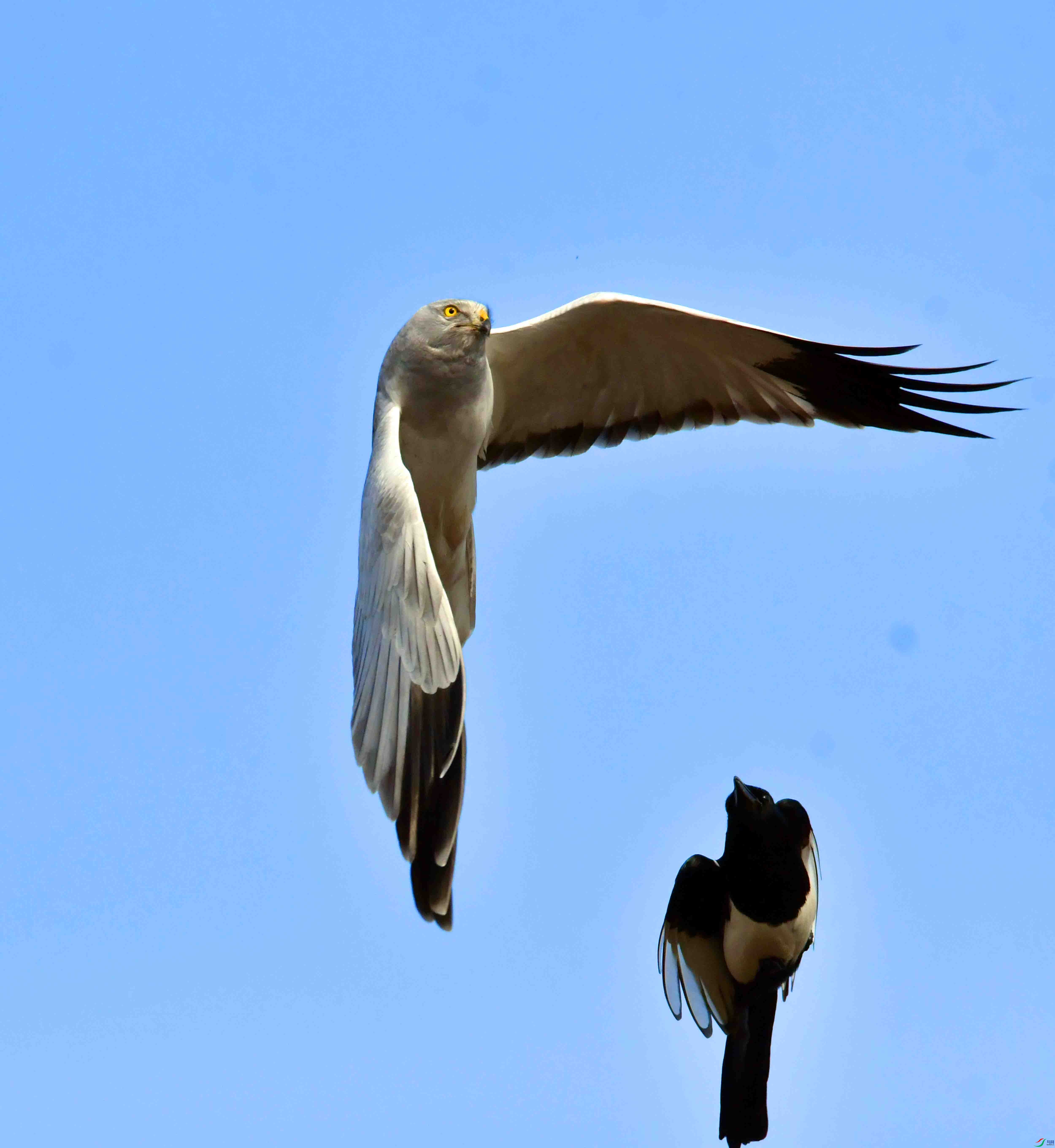 DSC_7448.JPG