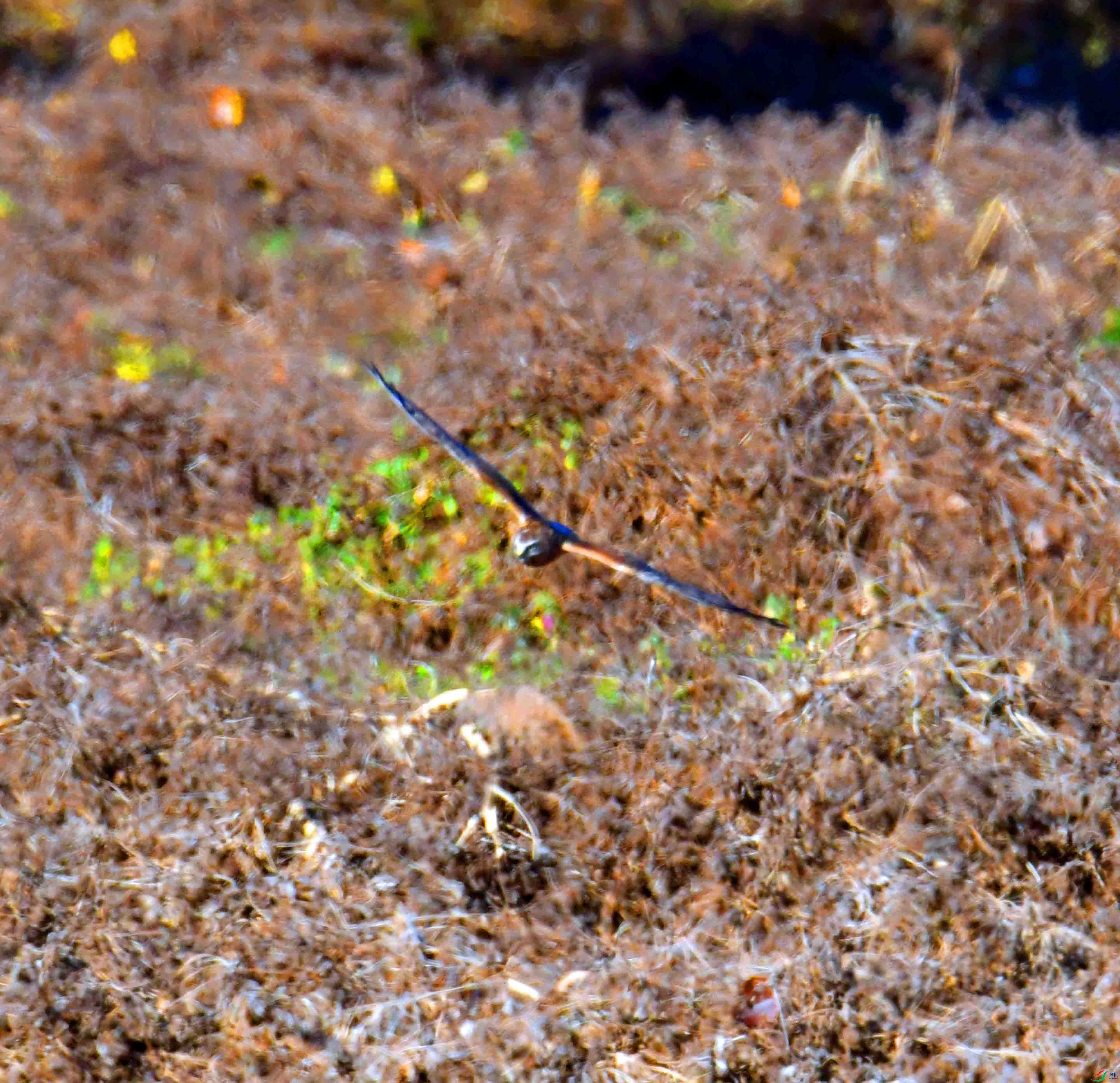 DSC_8404.JPG