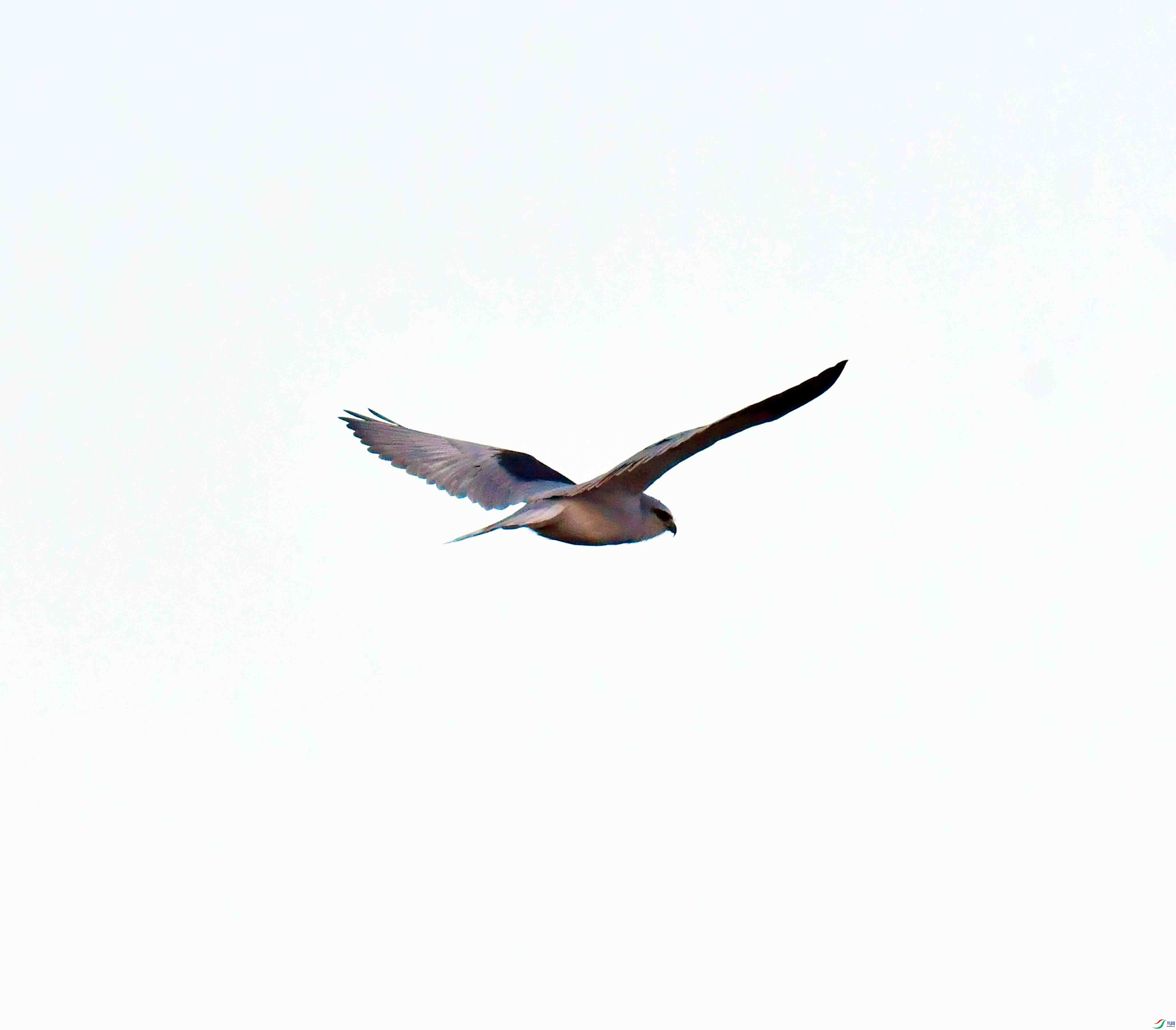 DSC_9426.JPG