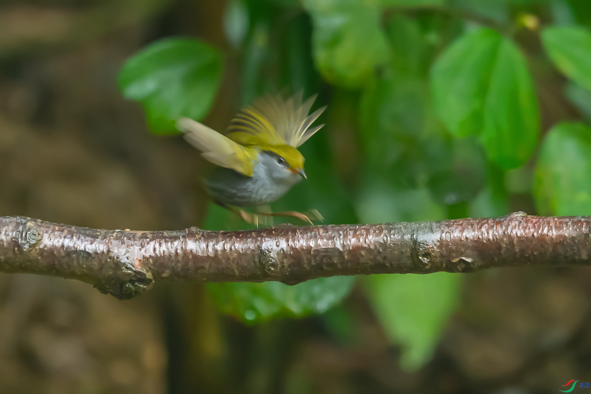 DSC_0119.jpg