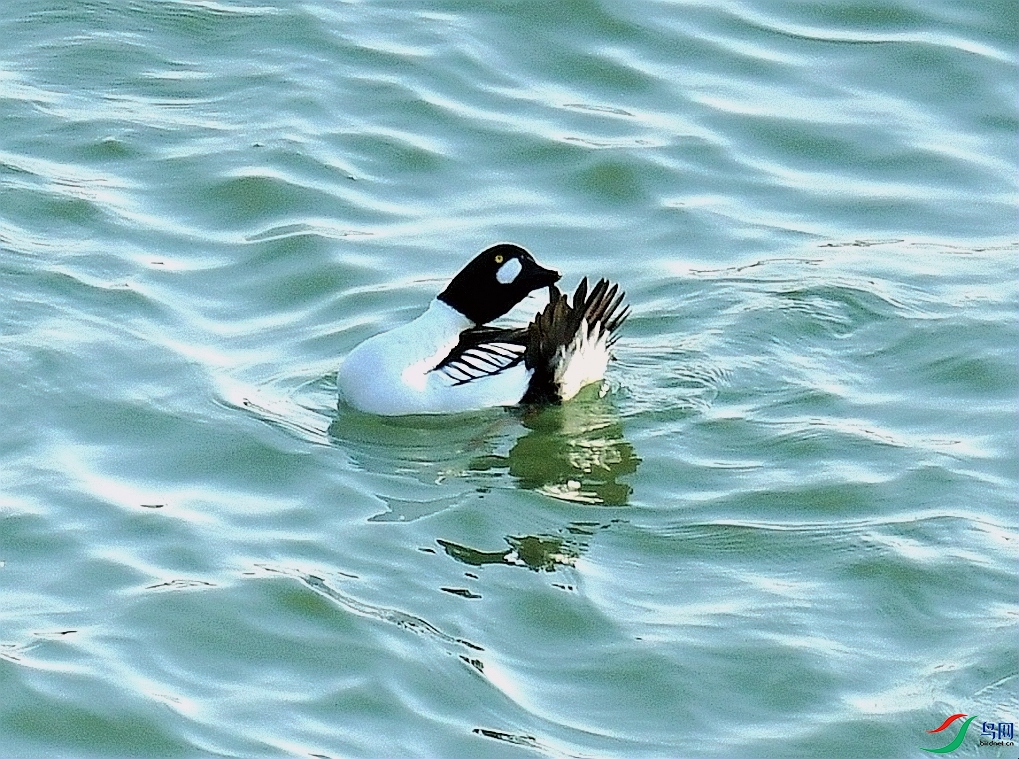 DSC_4625.jpg