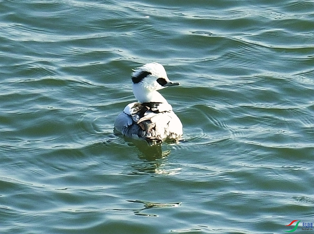 DSC_4713.jpg