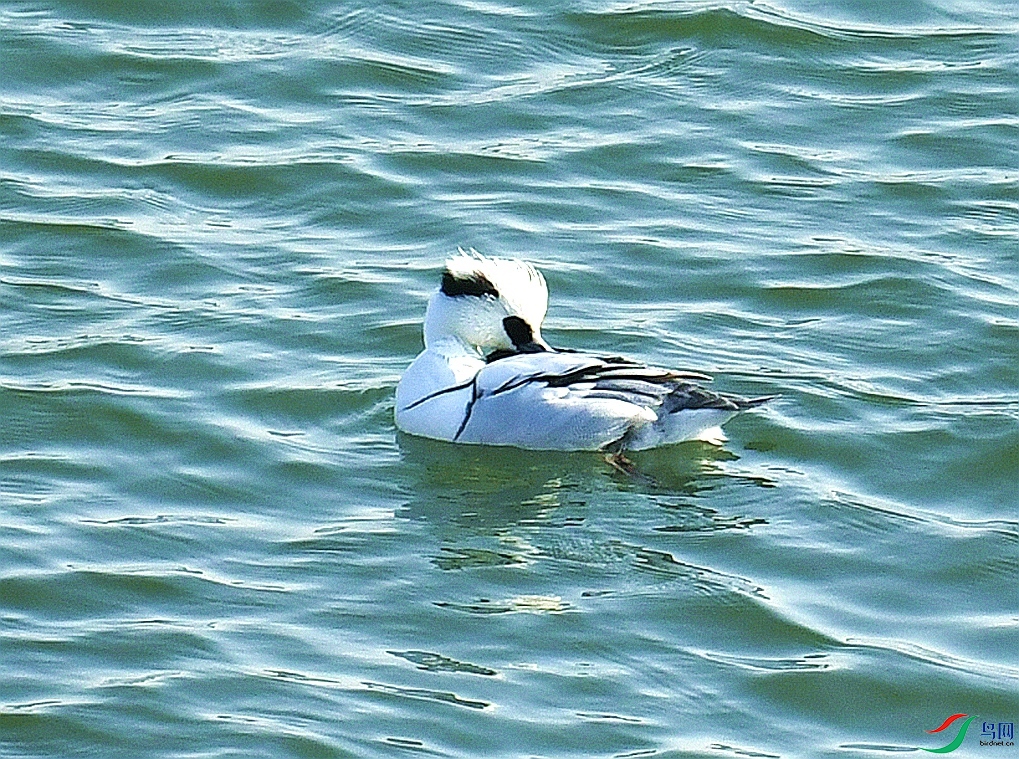 DSC_4695.jpg