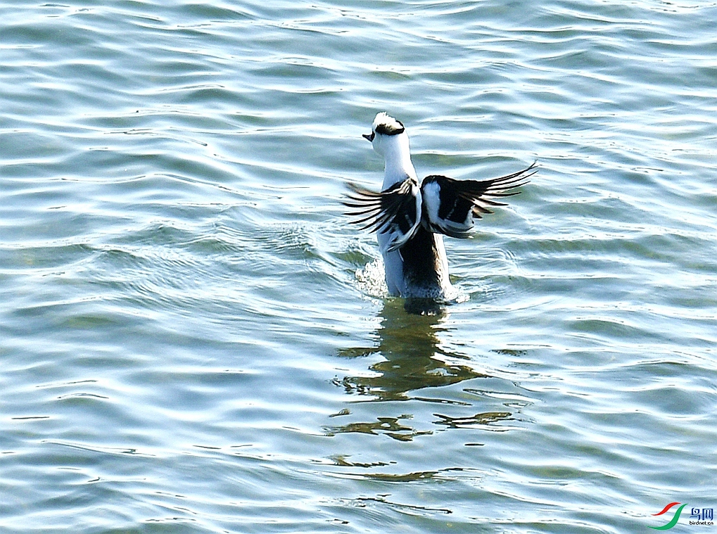 DSC_4514.jpg