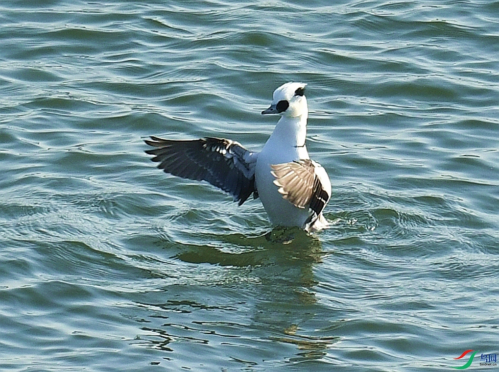 DSC_4806.jpg