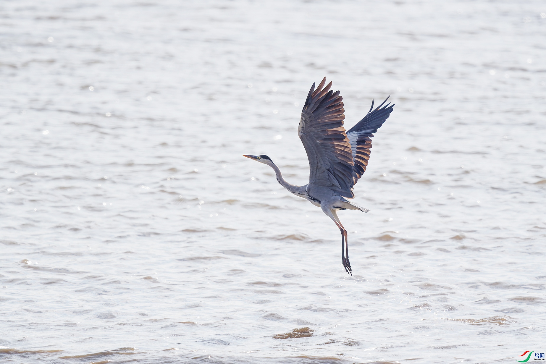 DSC_1478_DxO_DxOa.jpg
