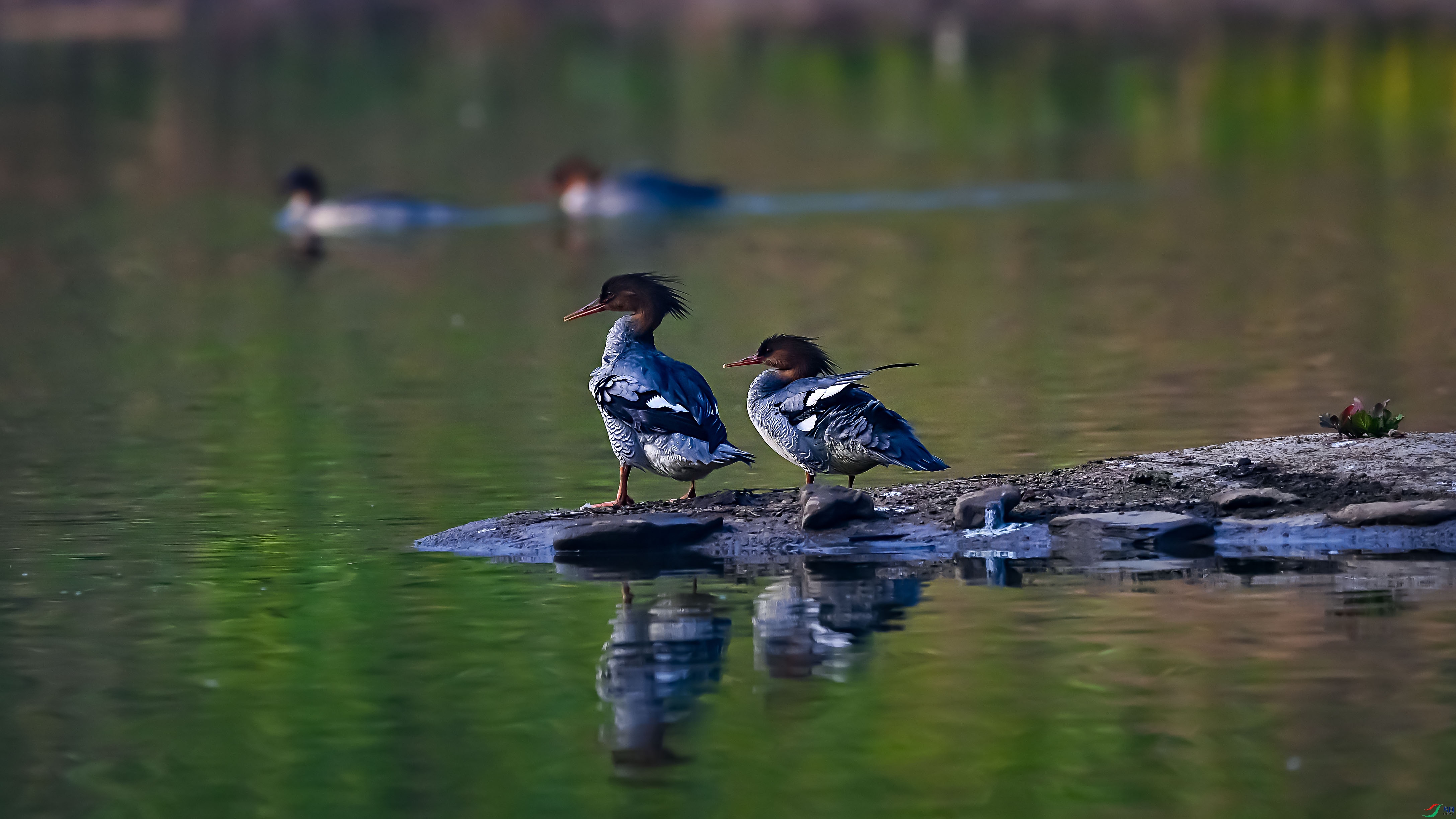 DSC_0122.jpg