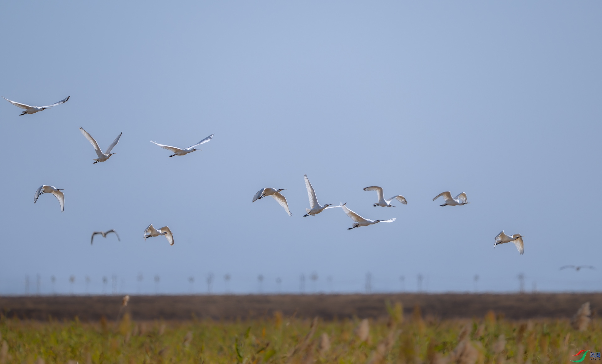 DSC_5378-1.jpg