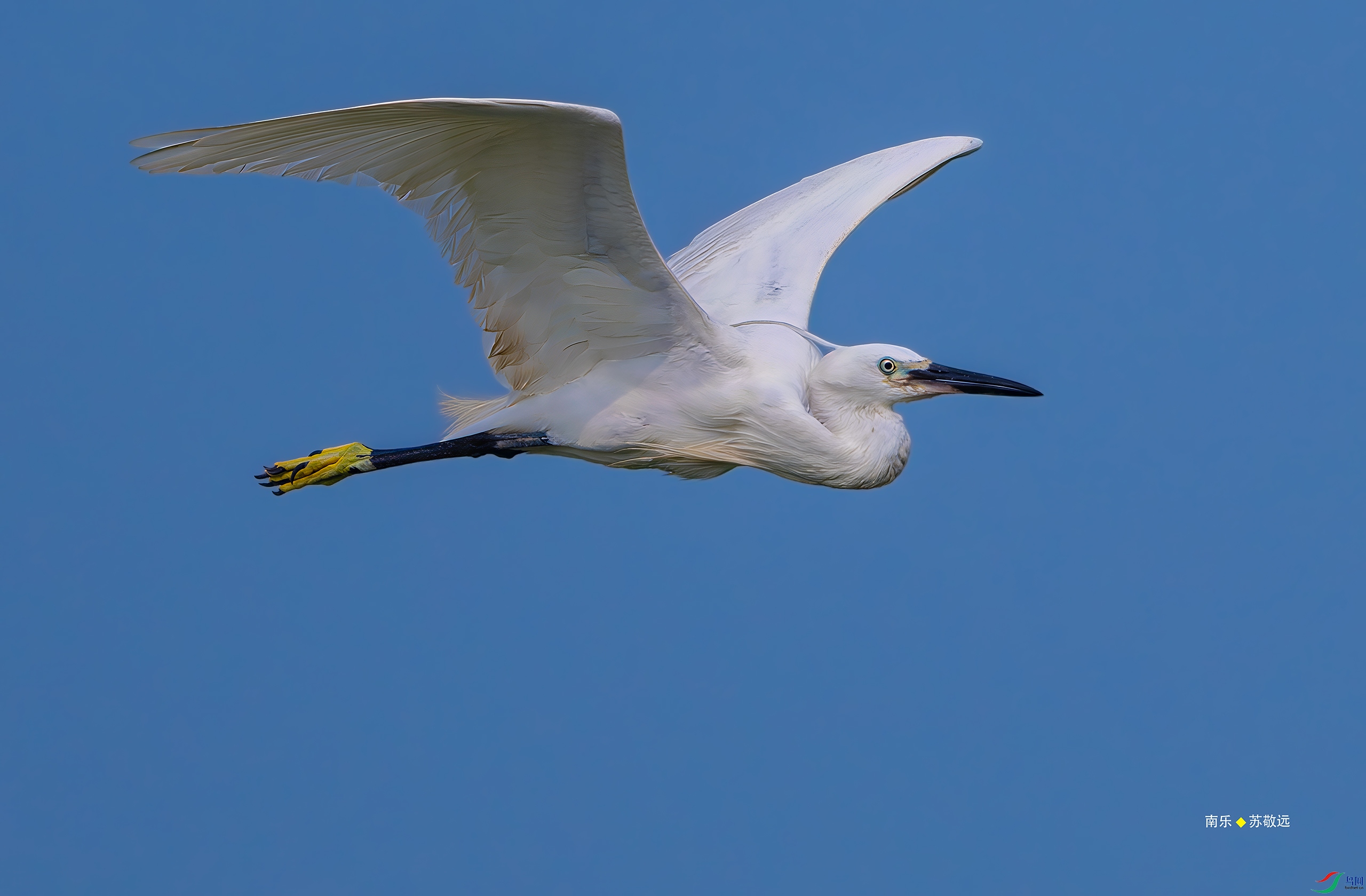_DSC2752-DxO_С.jpg