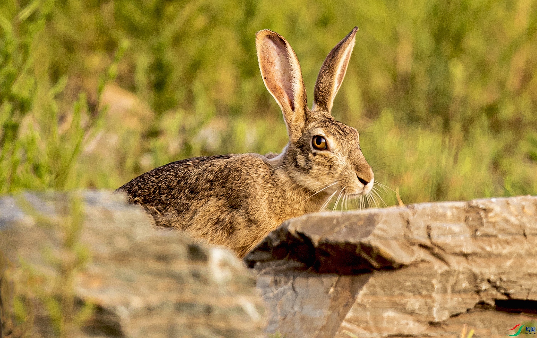 _90I3923 ���� 2.jpg