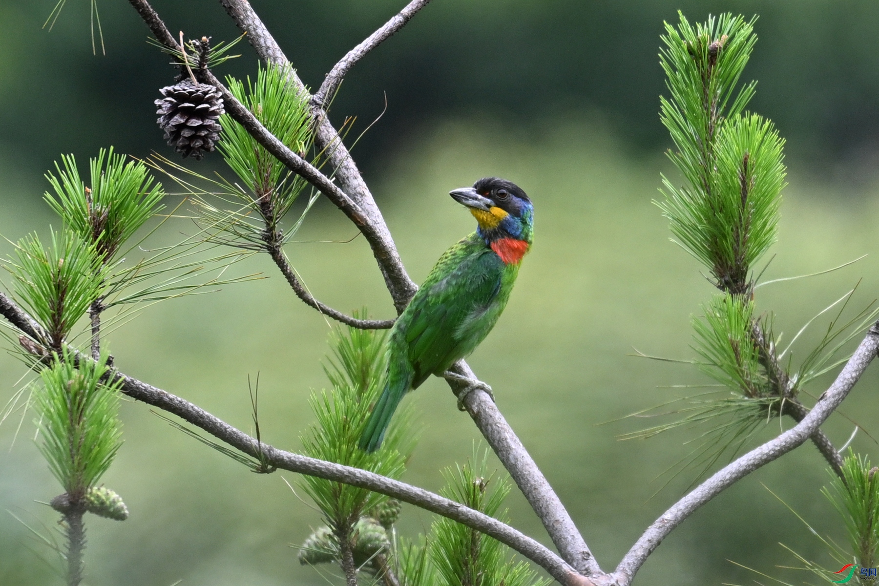 DSC_1722.JPG