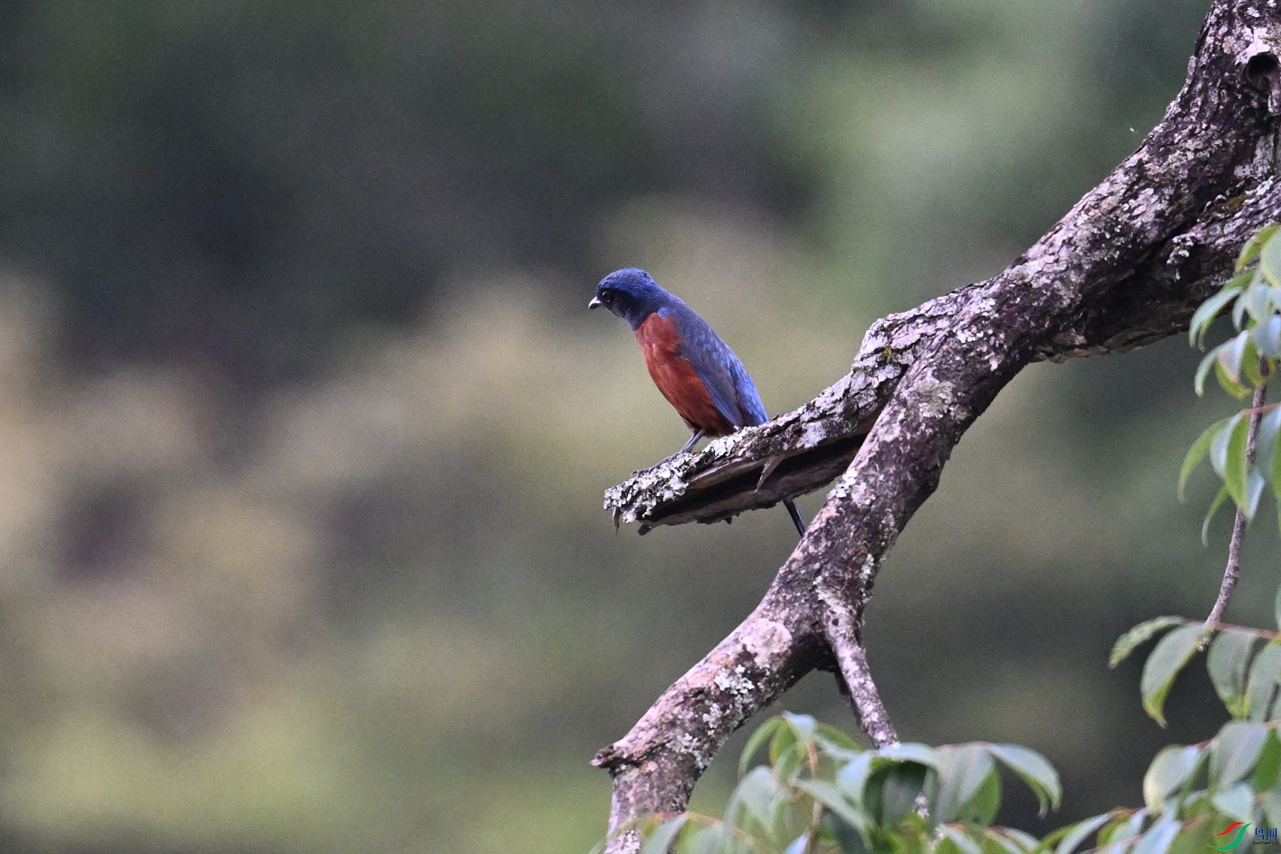 DSC_1844.JPG