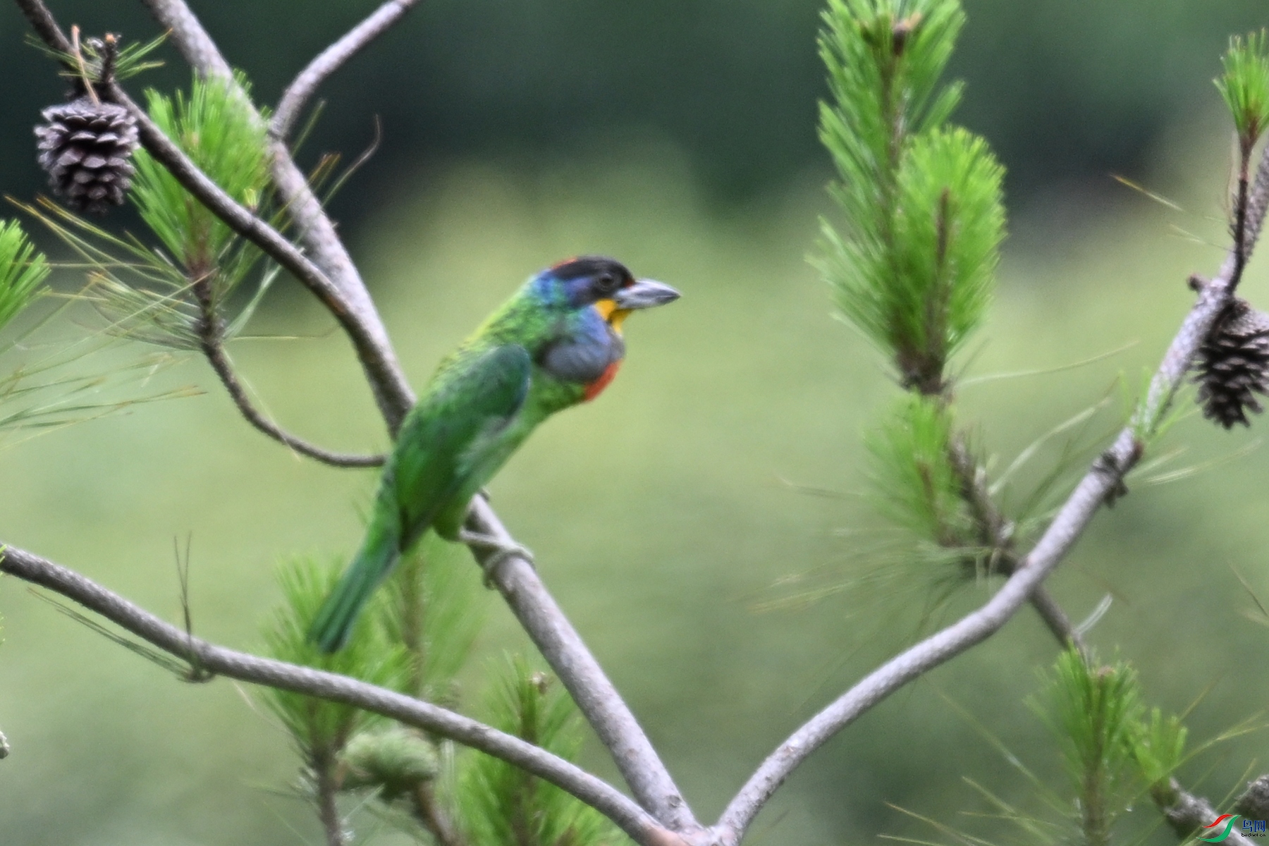 DSC_1728.JPG