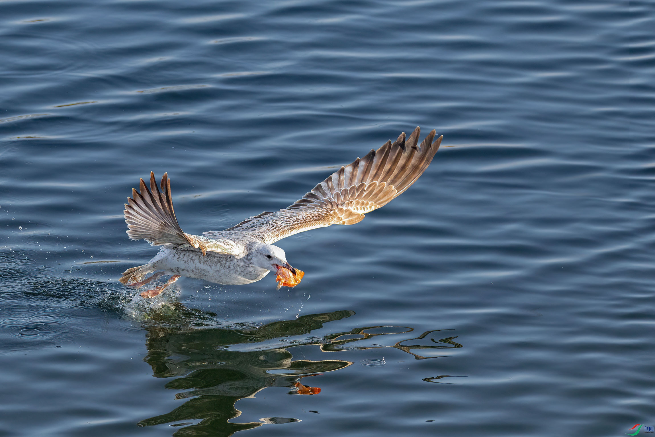 BK0A1210_44-fa.jpg