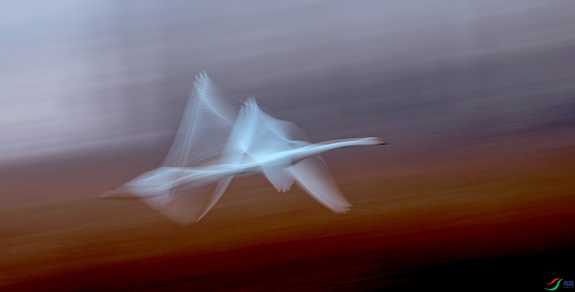 _DSC9032==1x.jpg