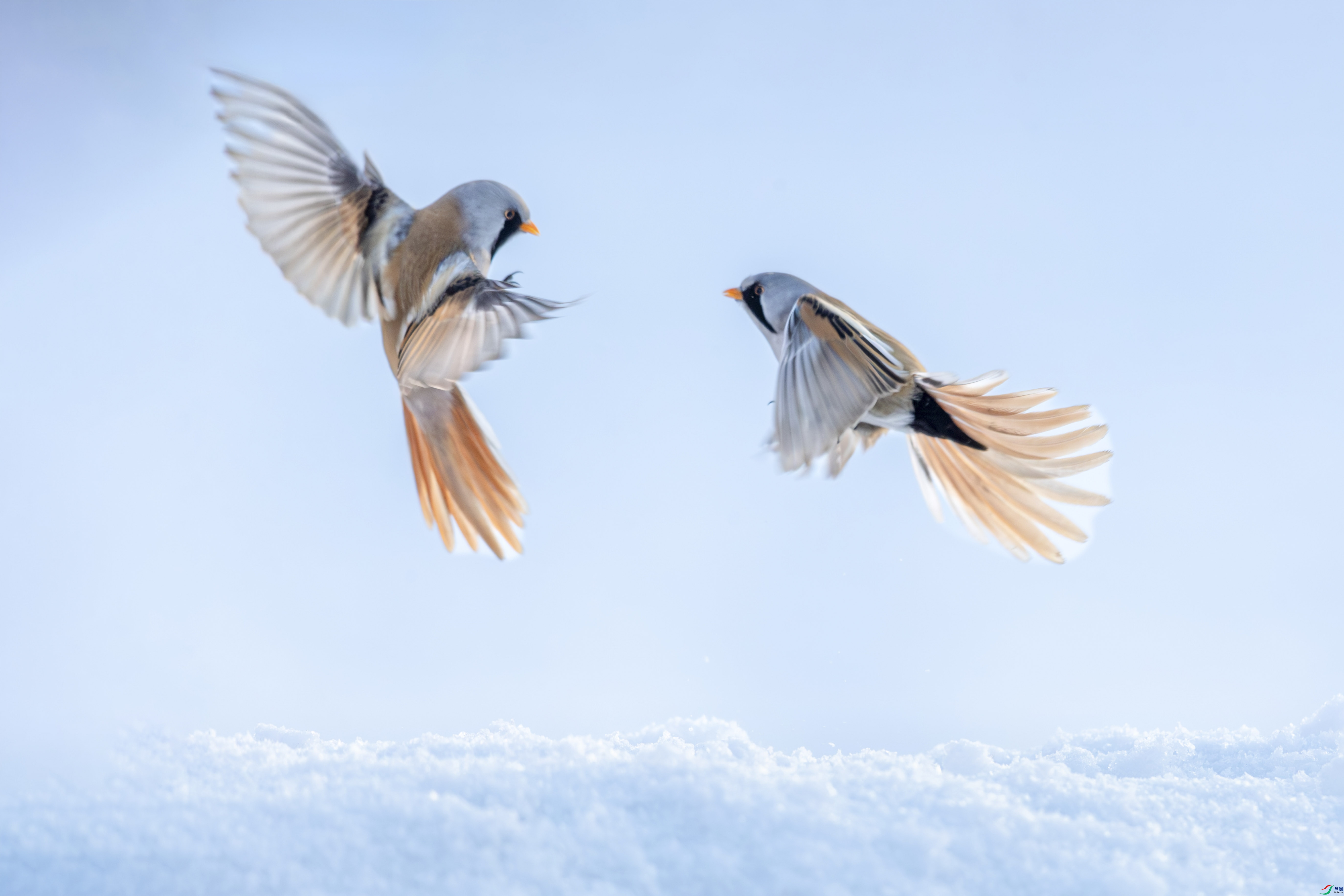 WGX_4022 ����_1.jpg