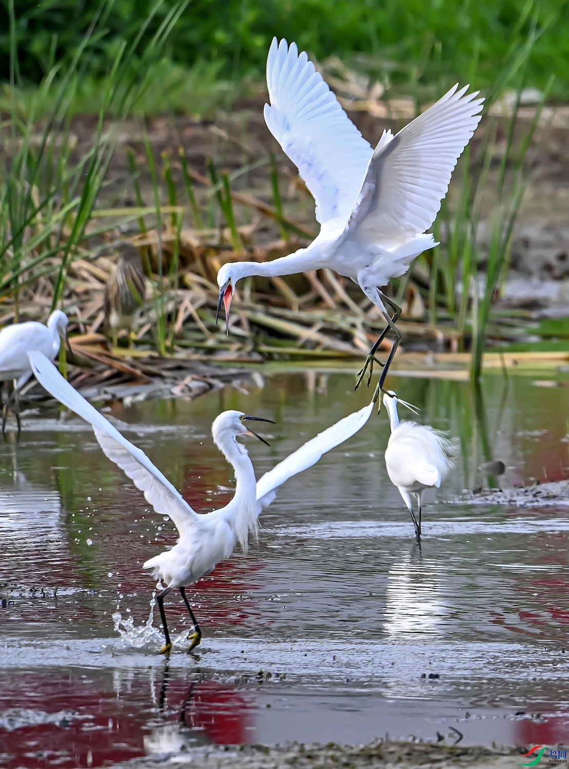 DSC_0142---_conew1.jpg
