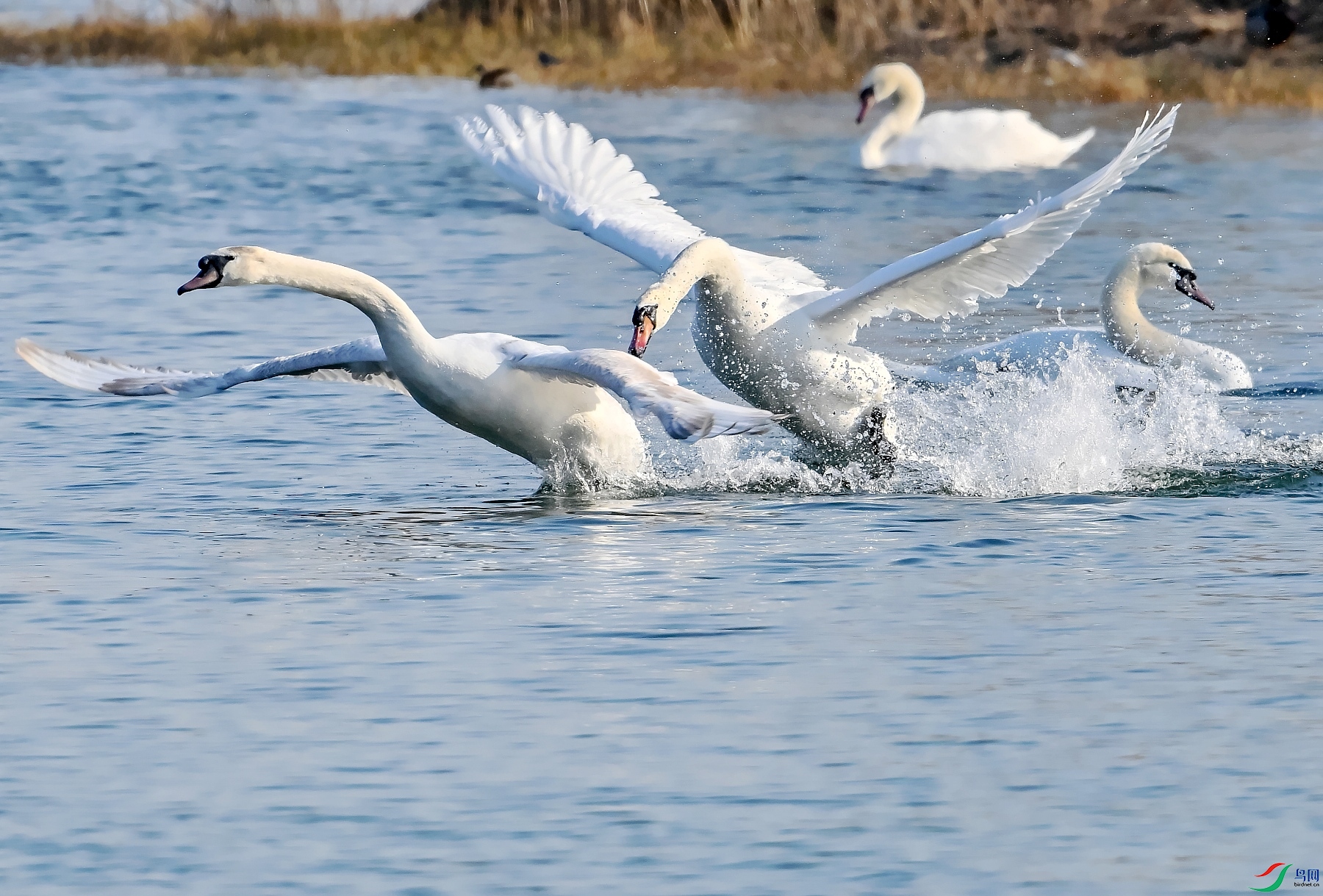 DSC_7010׷��.jpg