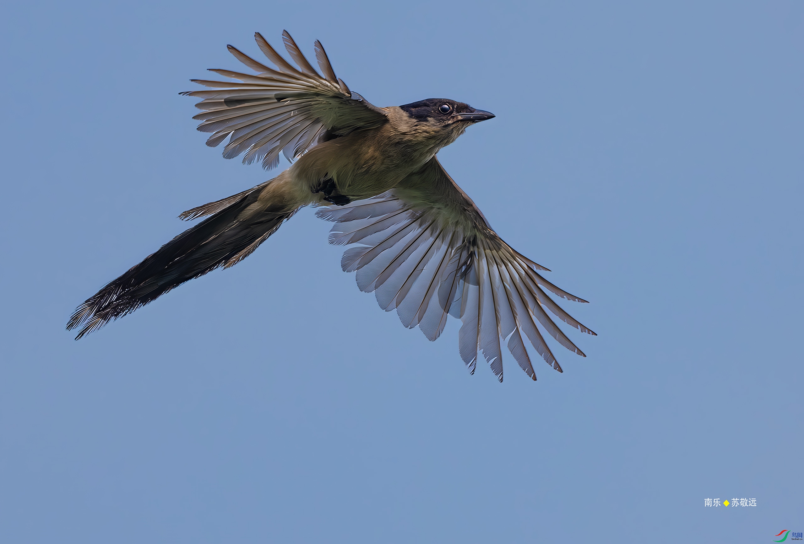 _DSC2043-DxO_С.jpg