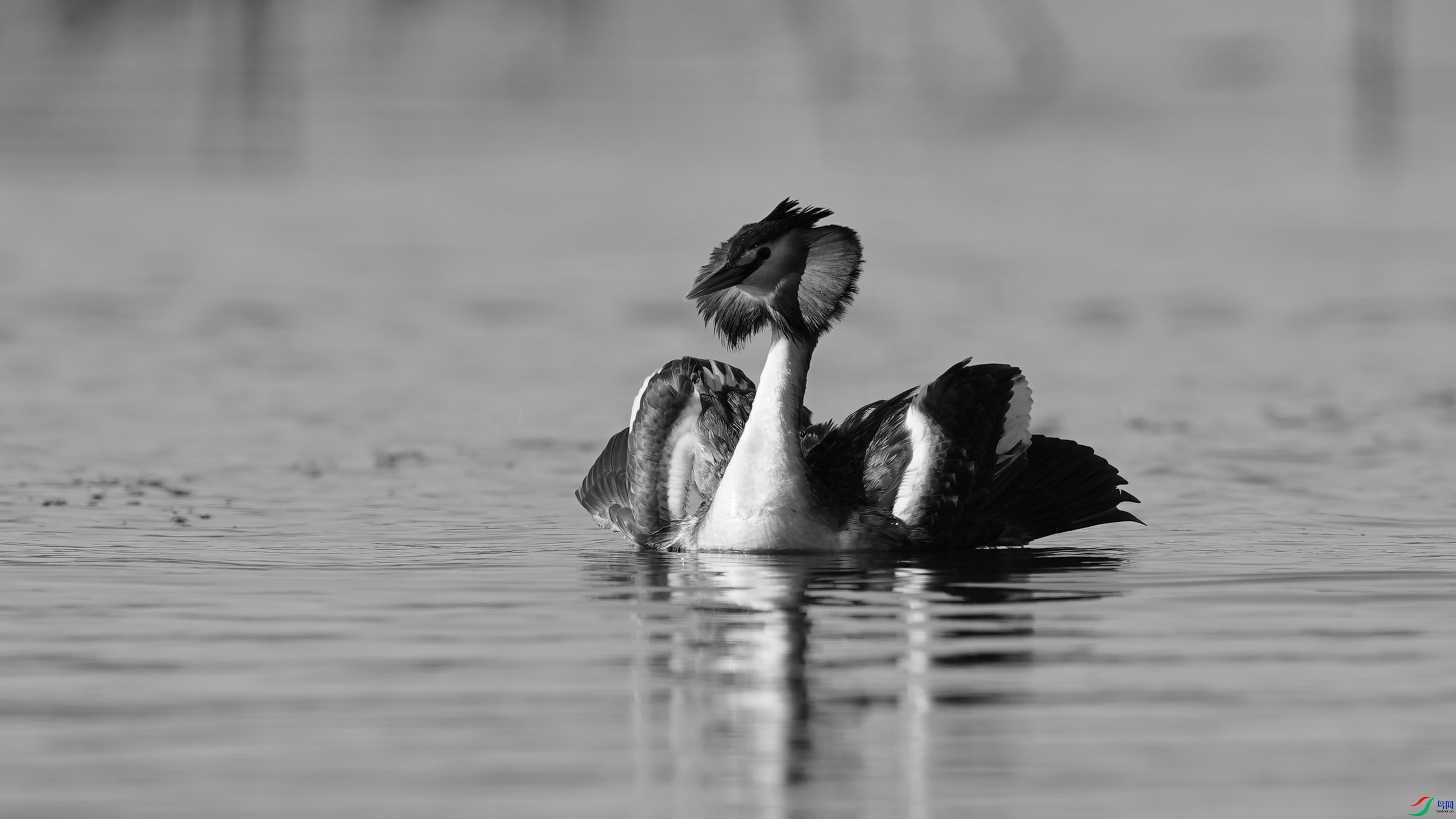 DSC06367 ����H.jpg