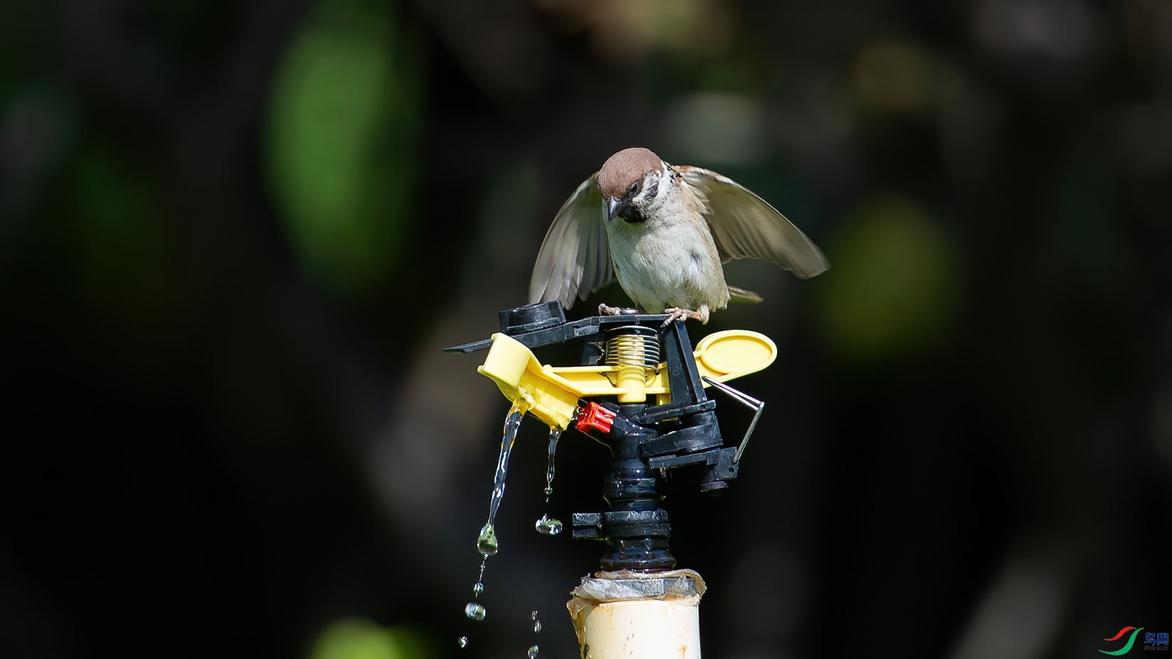 DSC_1757-20200601_���� .jpg