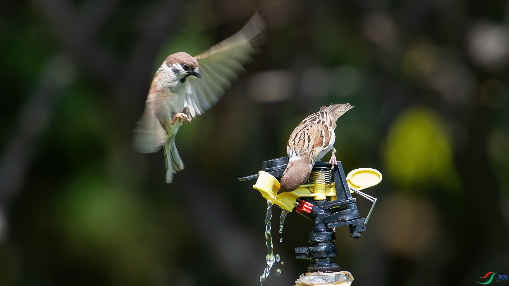 DSC_1830-20200603_���� .jpg