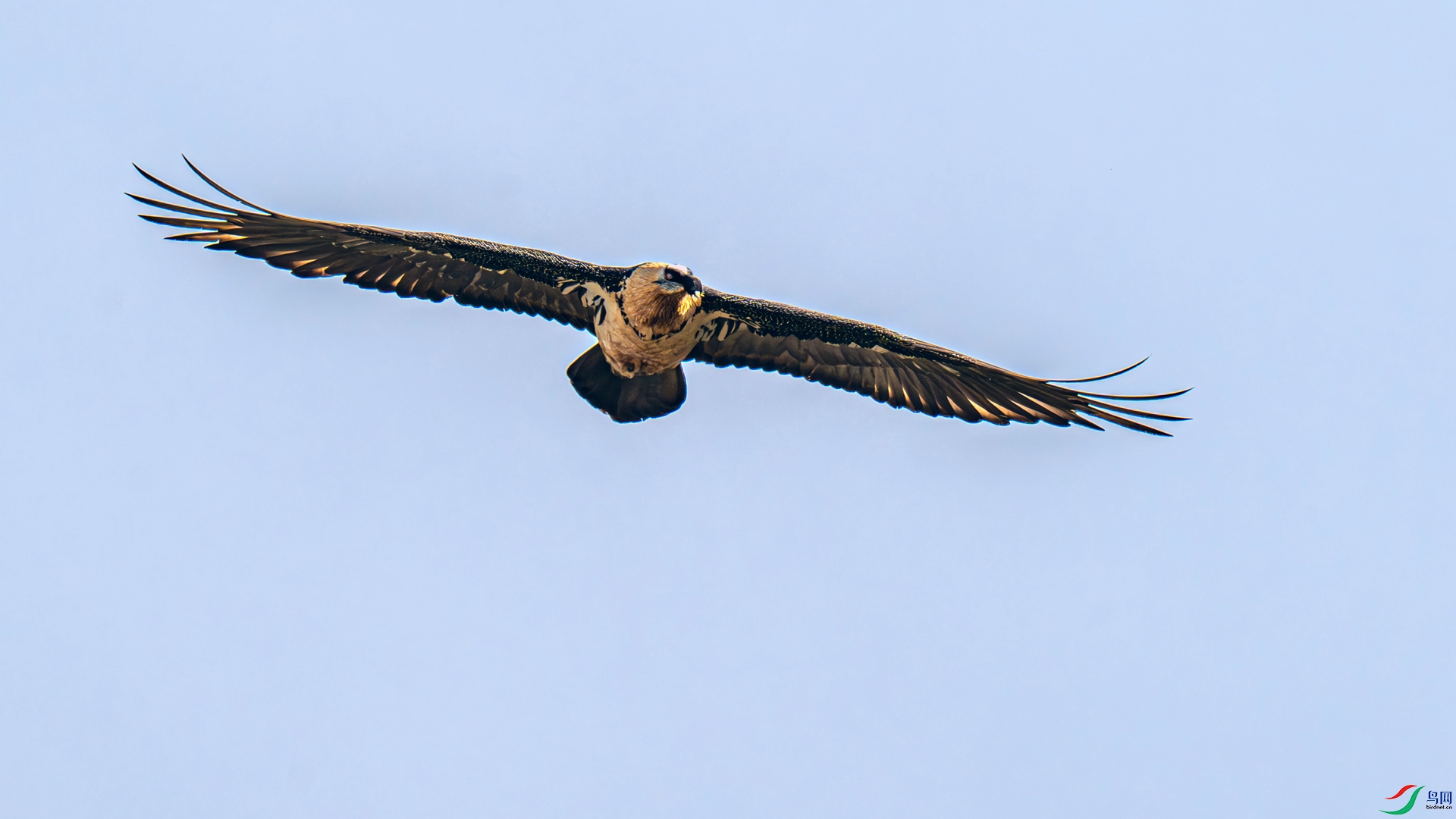 DSC_1866 ����_����.jpg