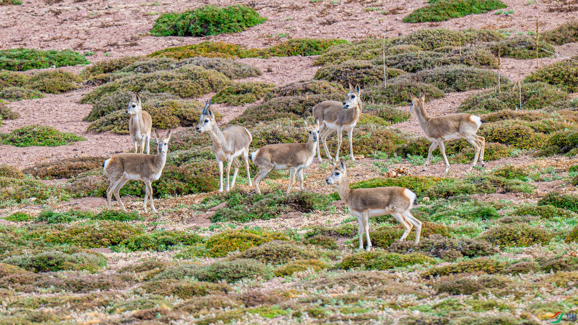 DSC_5885-1_����.jpg