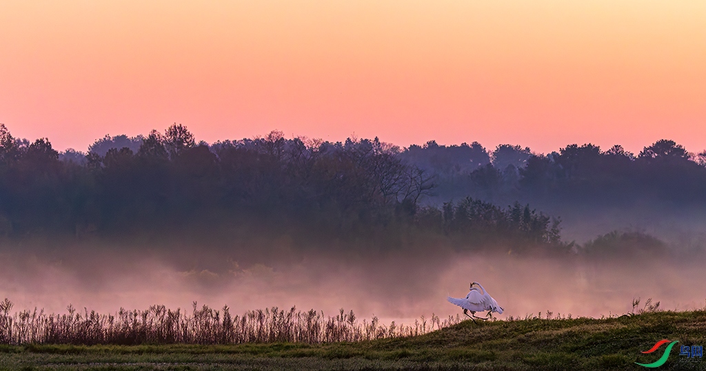 hnxydzR5251116  (1921)_DxO.jpg