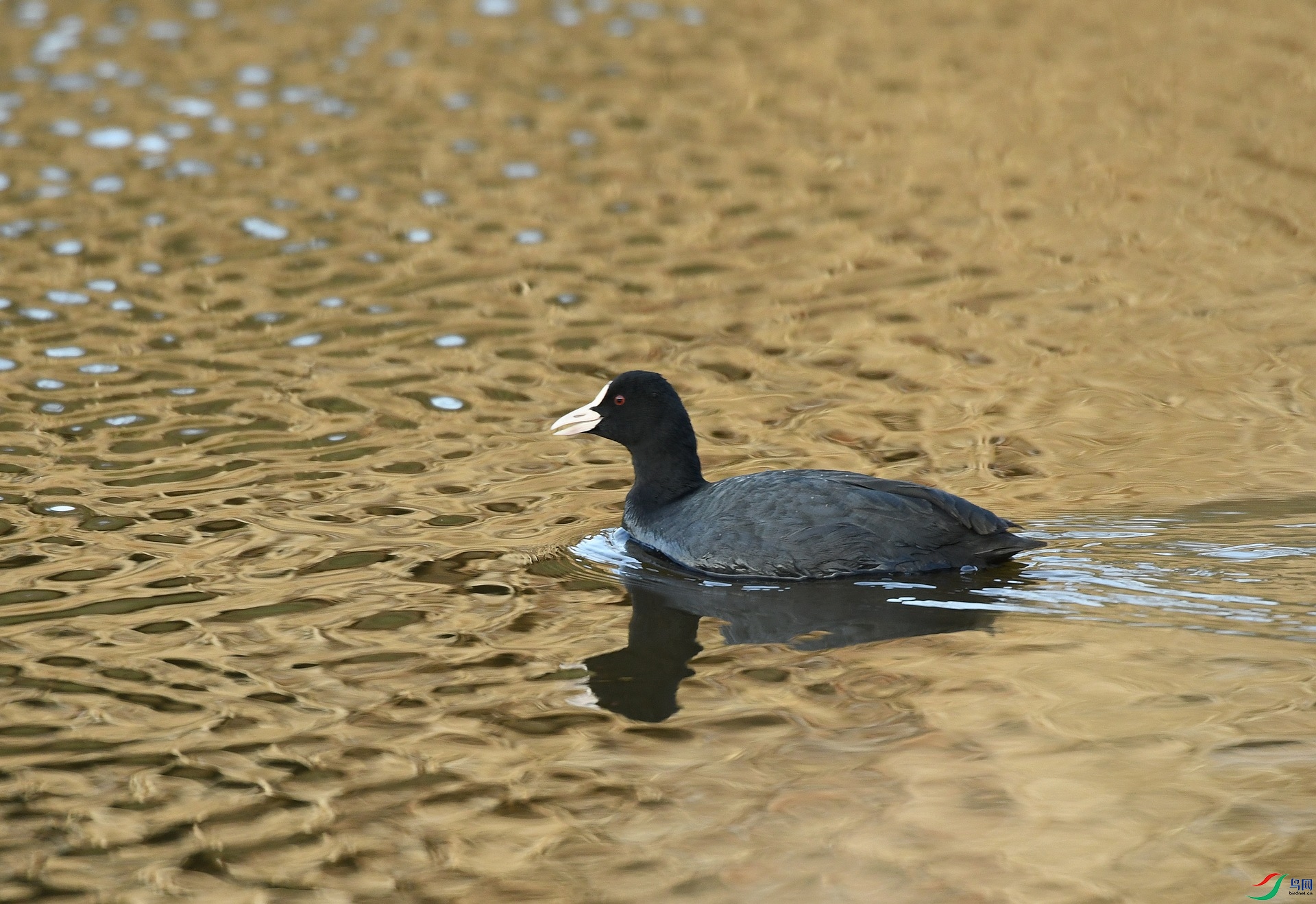 DSC_4675.jpg