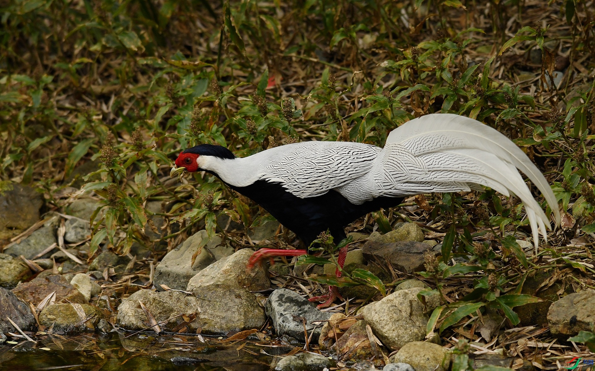 DSC_4769.jpg