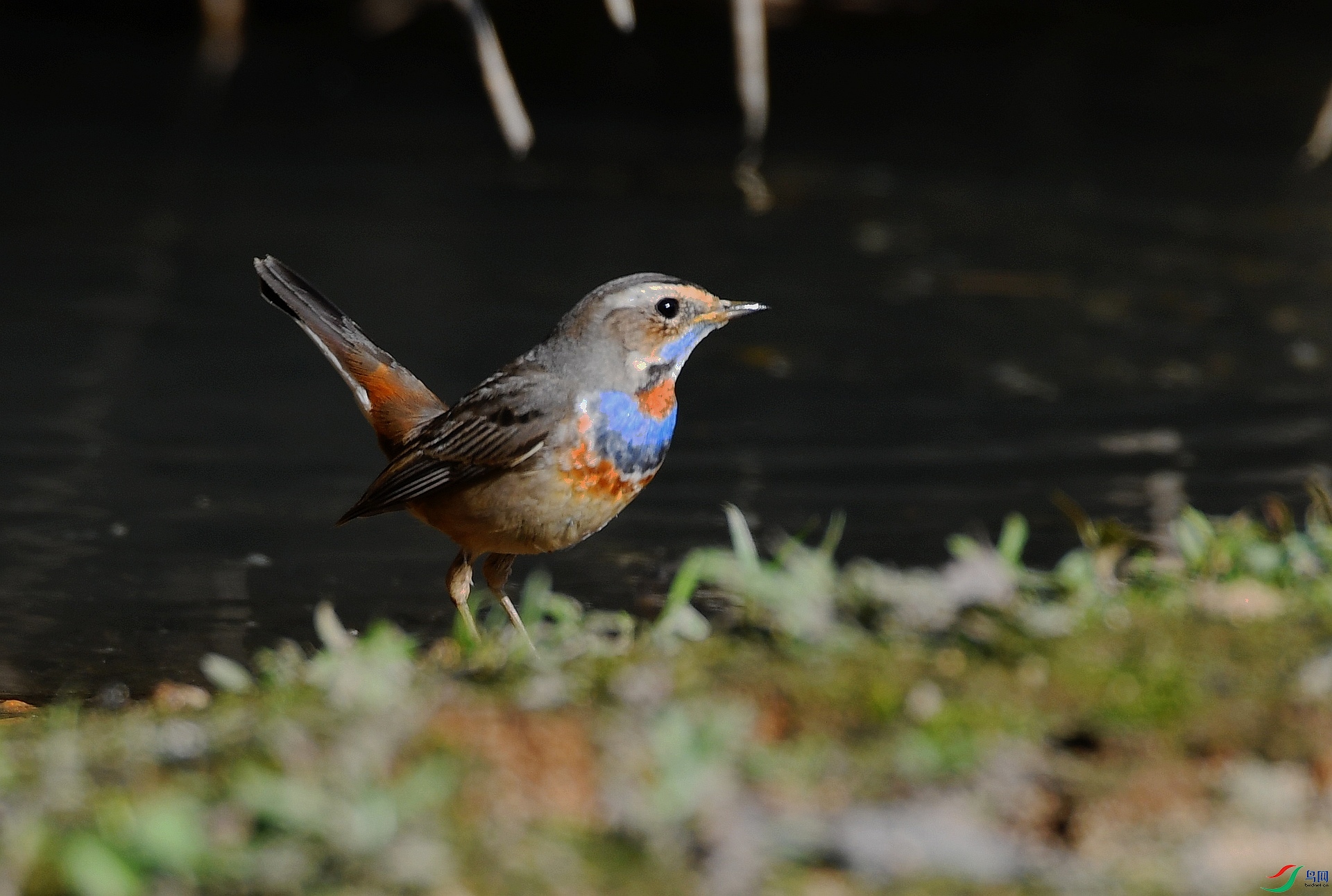 DSC_4843.jpg