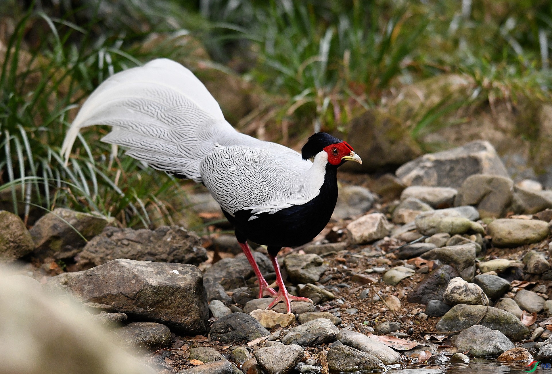 DSC_6172.jpg