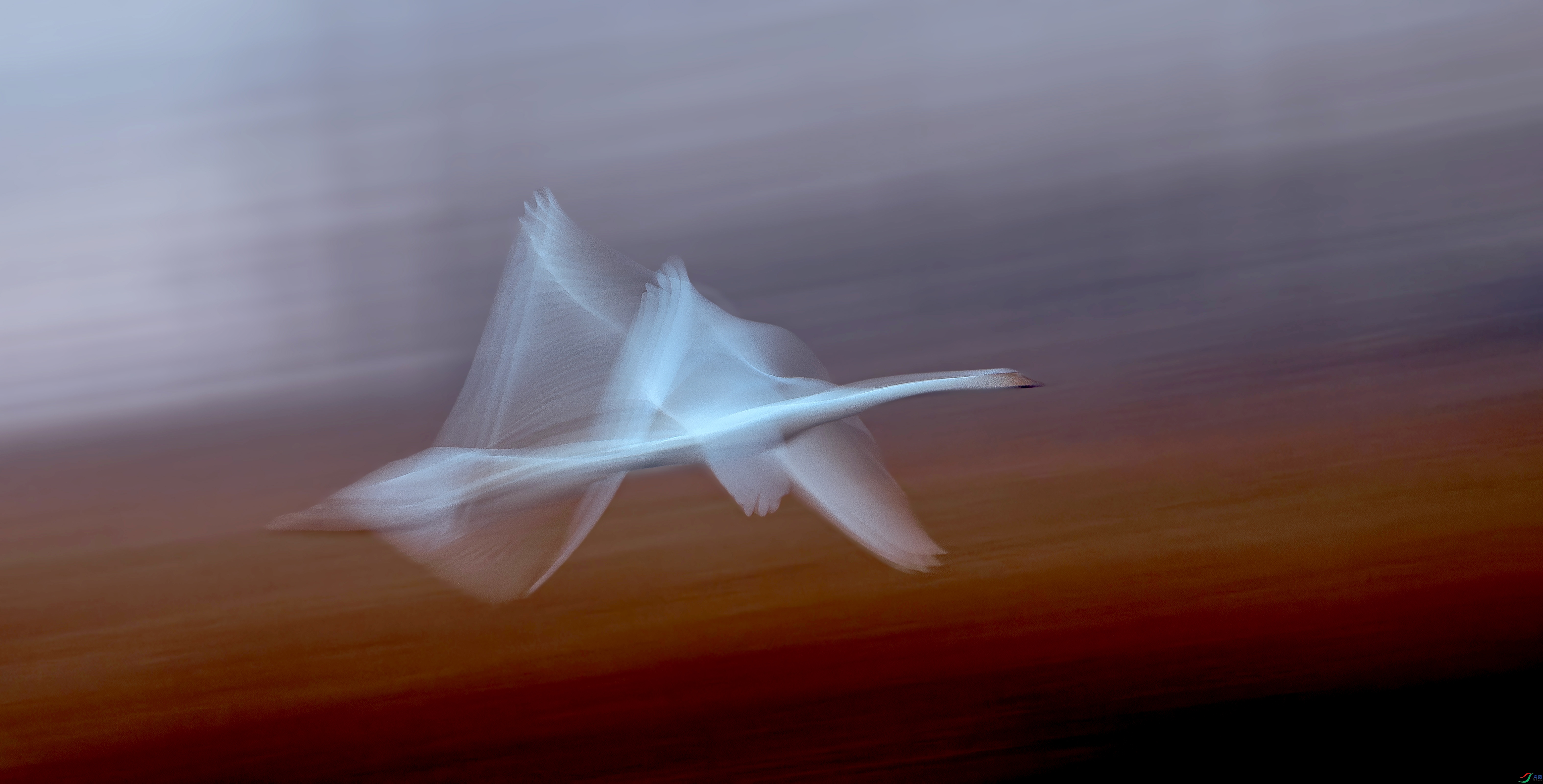_DSC9032==1.jpg