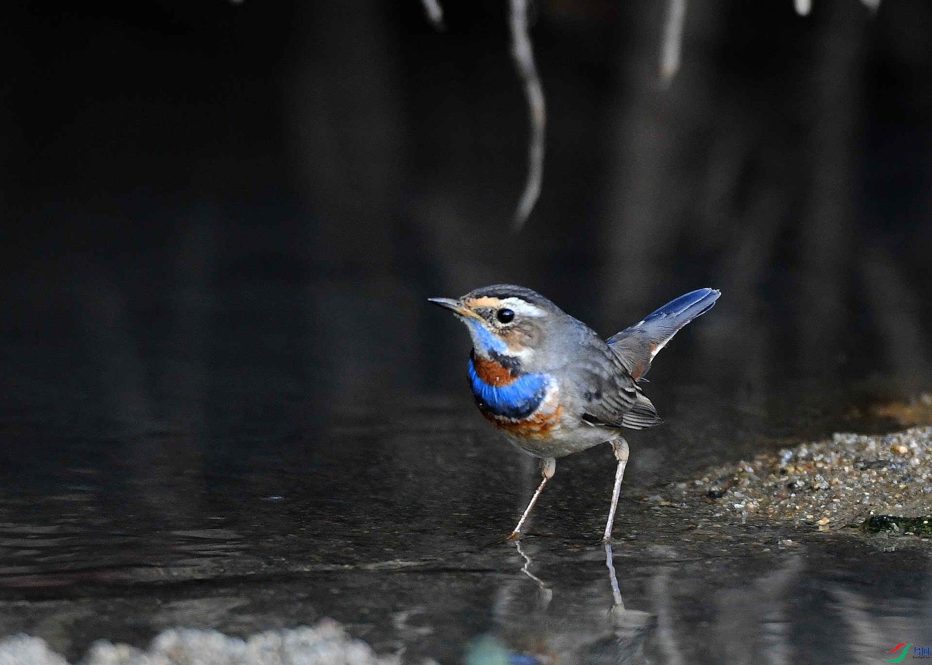 DSC_5718.jpg