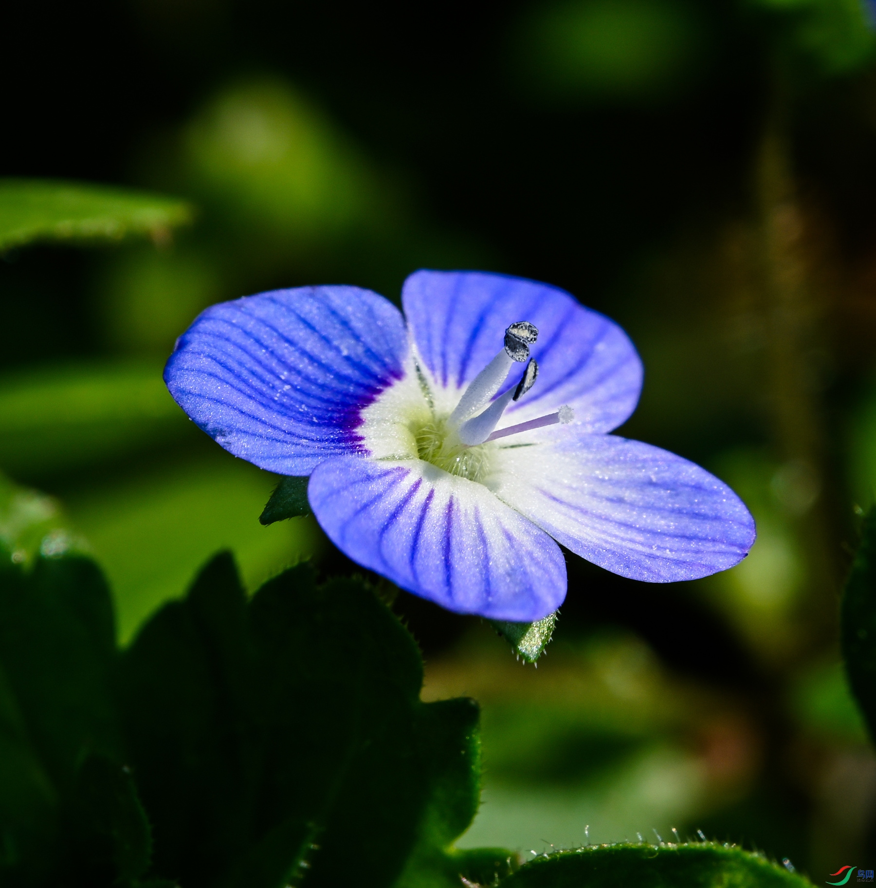 DSC_3477_����.jpg
