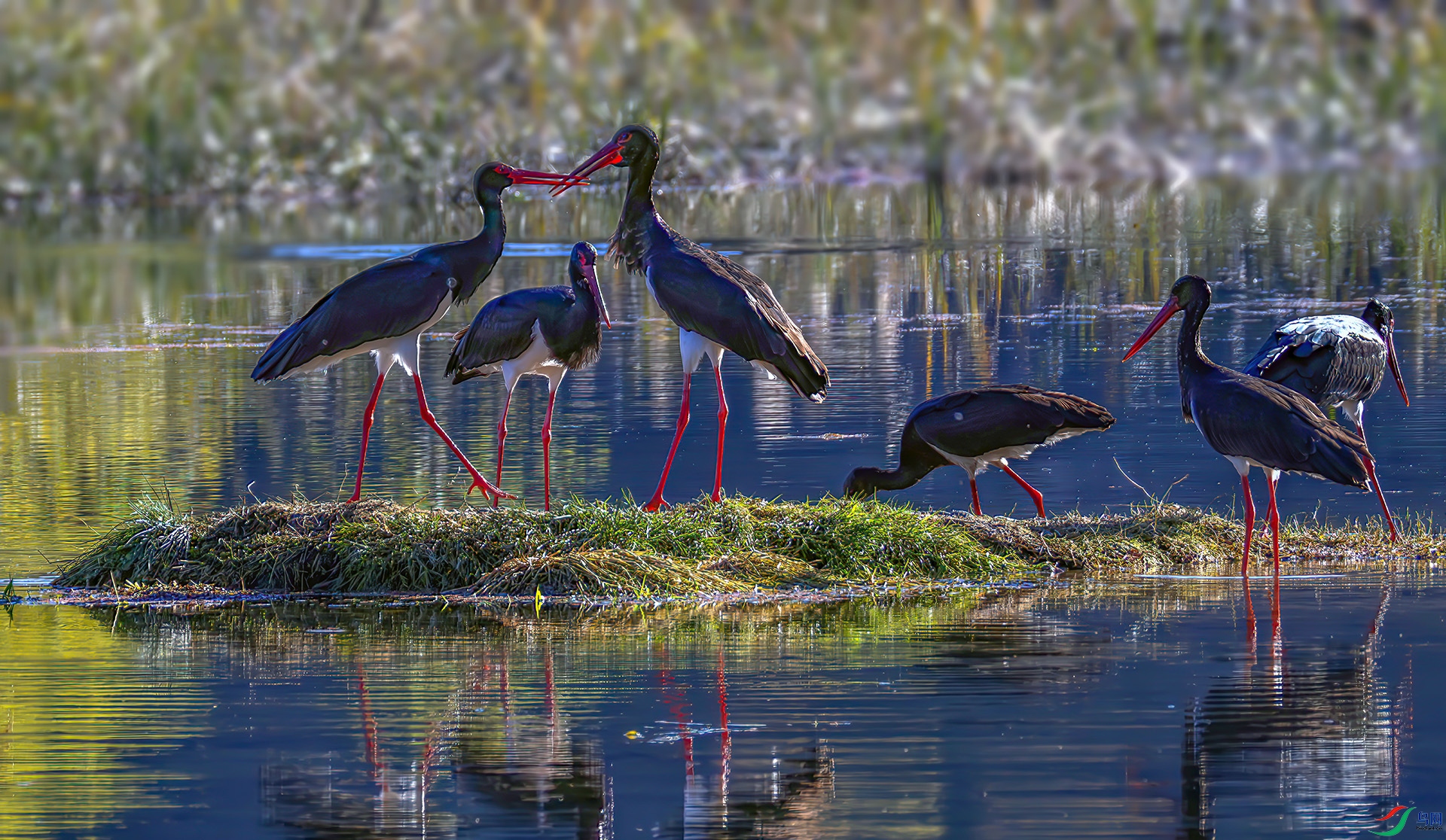 _07A4353-----33  .jpg