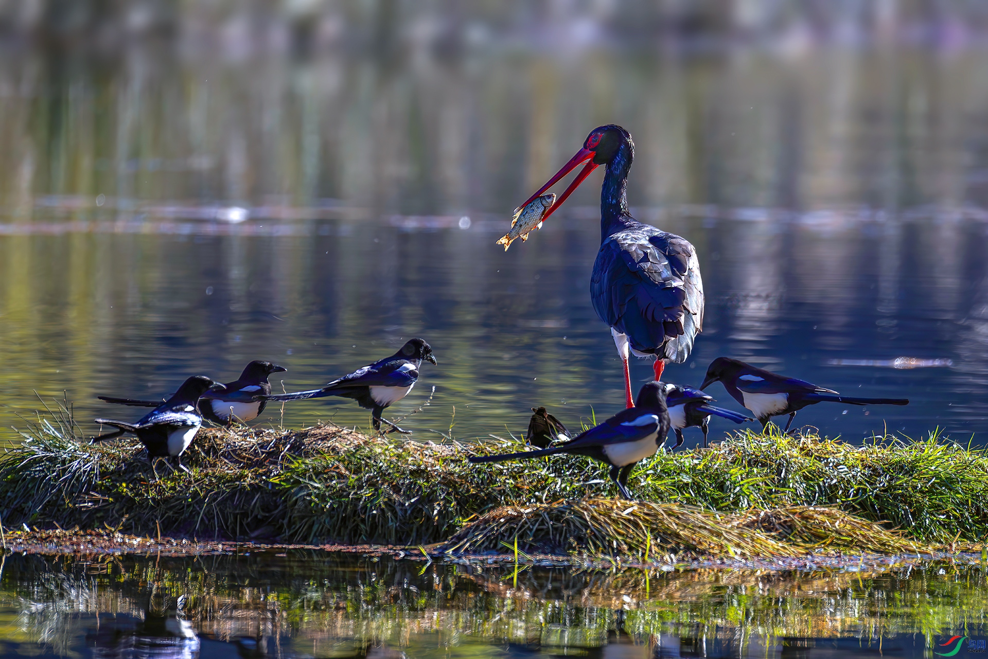 _07A5814------33  .jpg